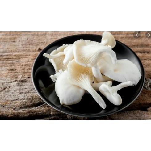 

Fress Jamur Tiram 500Gr