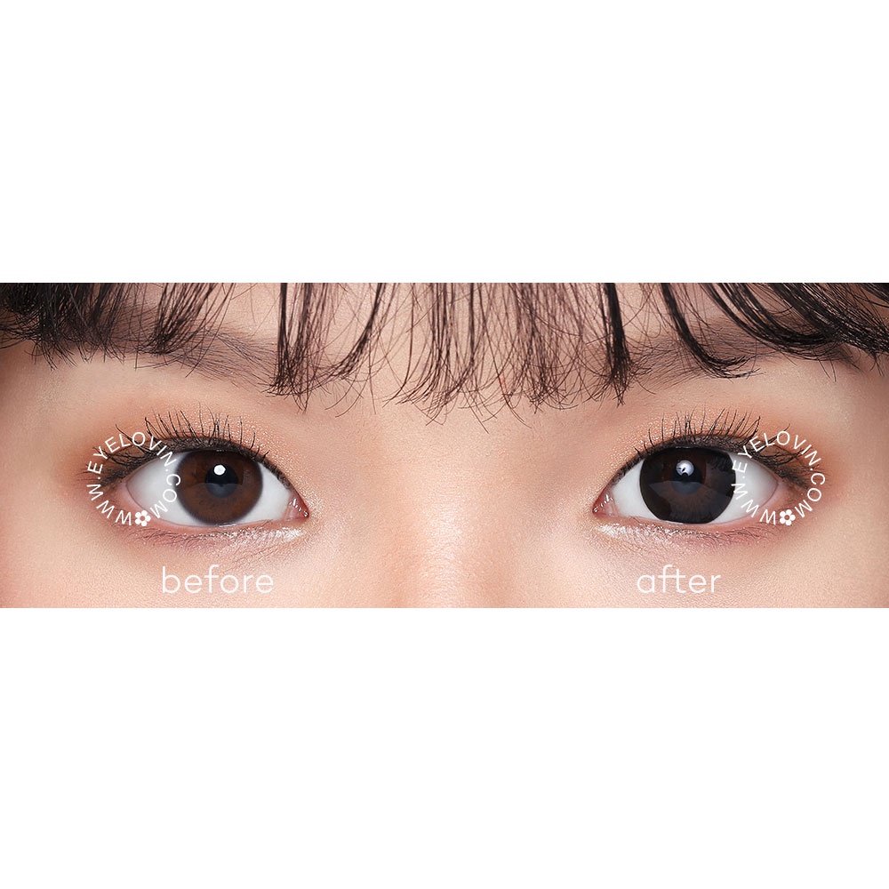 EYELOVIN Softlens Holicat - City Black