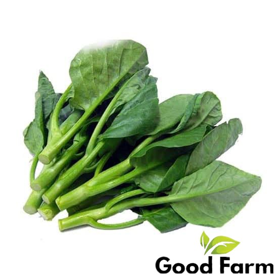 BENIH KAILAN | KEMASAN EKONOMIS | TA FUNG | HIDROPONIK