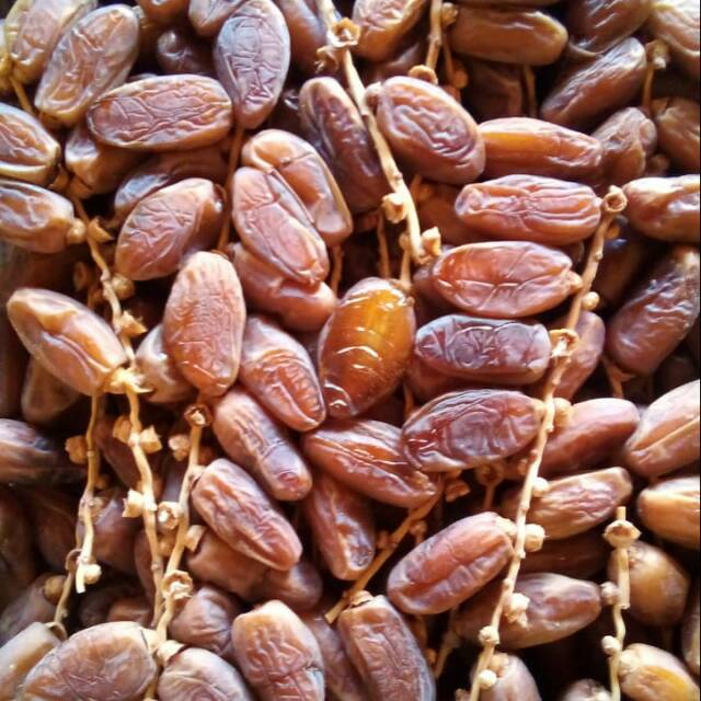 

Kurma tunisia tangkai