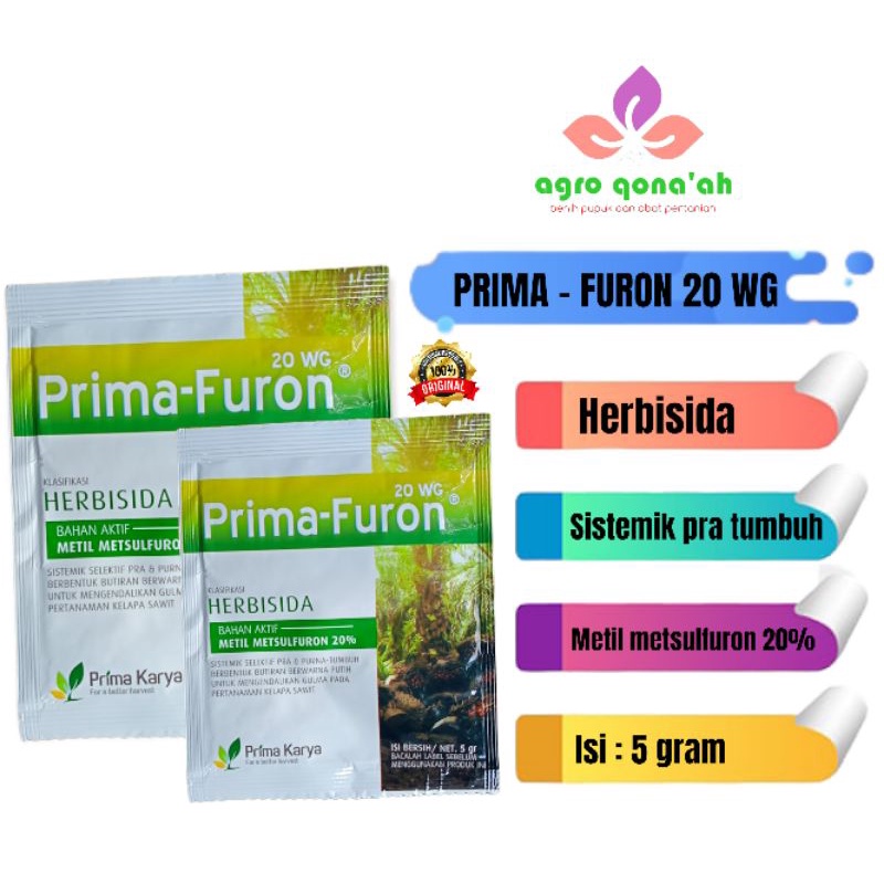 Herbisida sistemik pra tumbuh prima furon