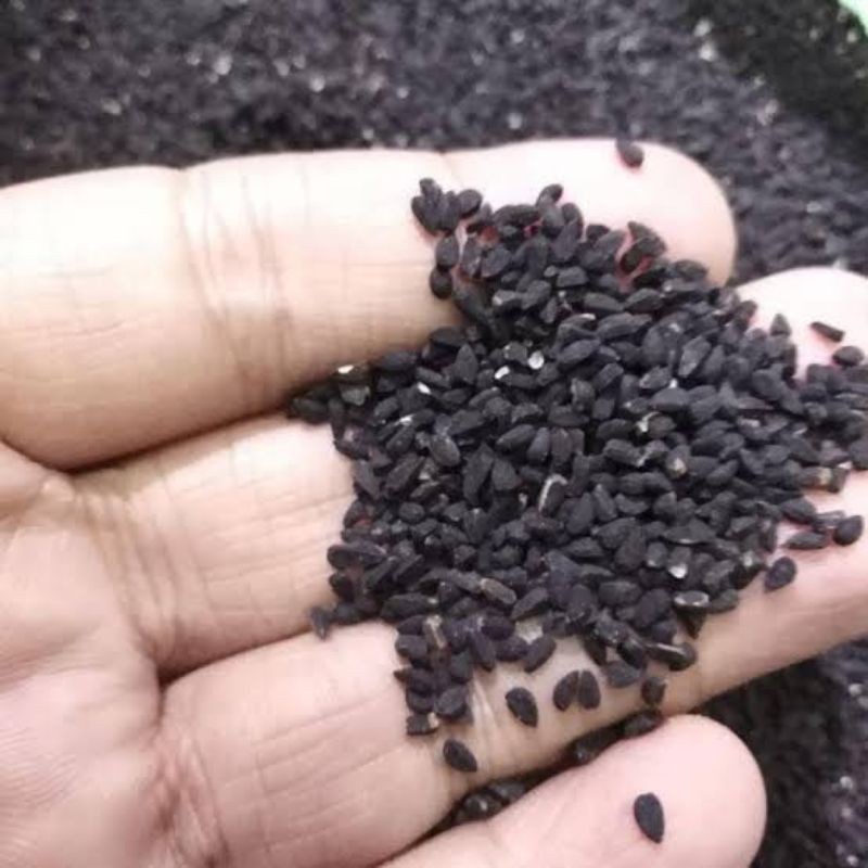 Biji Jinten Hitam / Black Cumin (1 kilogram) by Granology