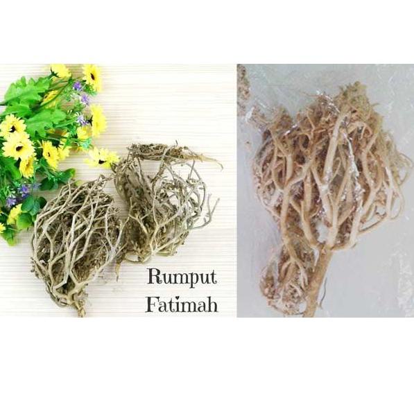 

[KODE MMBDS] HERBAL PELANCAR PERSALINAN RUMPUT FATIMAH SANGAT BAGUS BUAT IBU HAMIL JUGA, ORIGINAL ARAB SAUDI