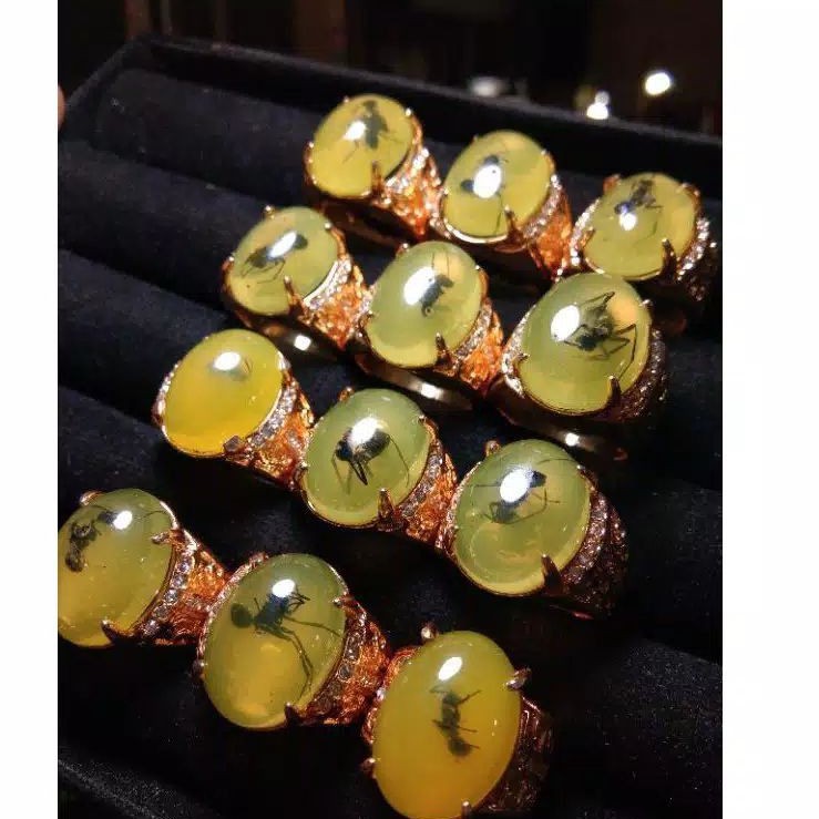 TERMURAH  Cincin Fosil katilayu Semut Unik.