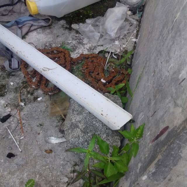 whindasaryjayaatiangso