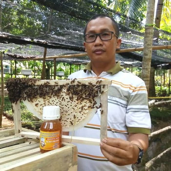 

Madu bantal- madu asli hutan kalimantan - MMD740