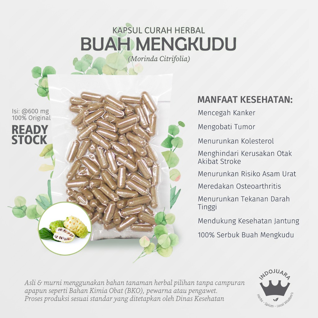 

BUAH MENGKUDU 100 Kapsul Curah Herbal Anti Aging Osteoarthritis Menyehatkan Kulit Kolesterol 600mg