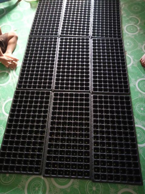 Pot Tray / Tray Semai Tipe 105 Lubang