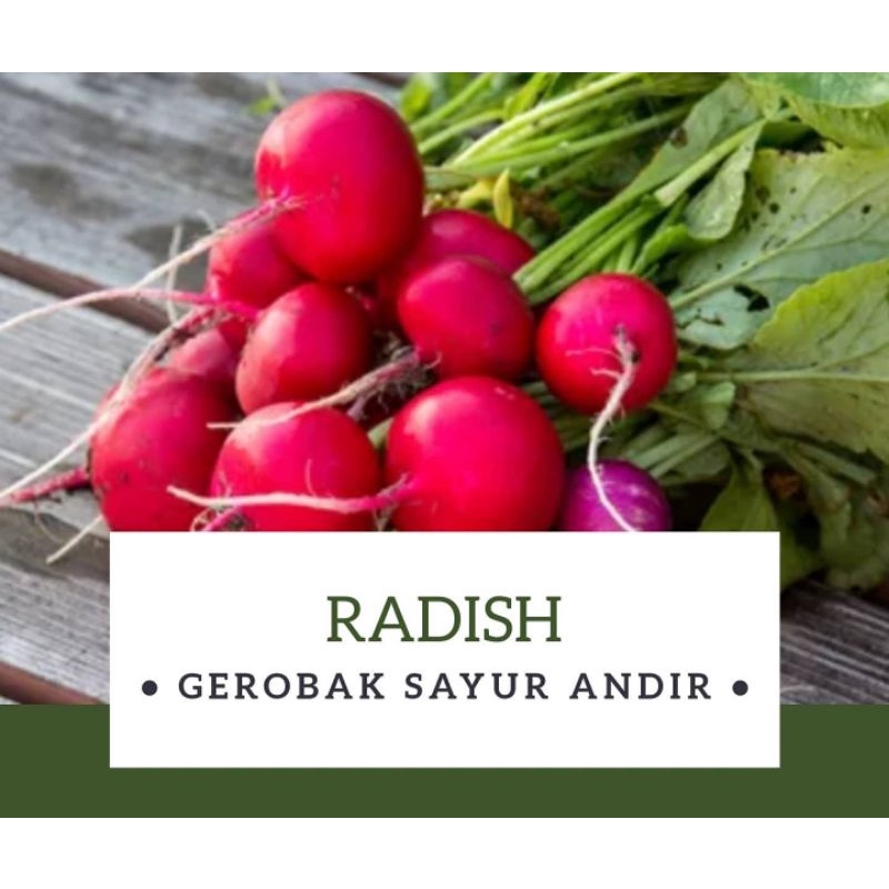 

Radish /250gr