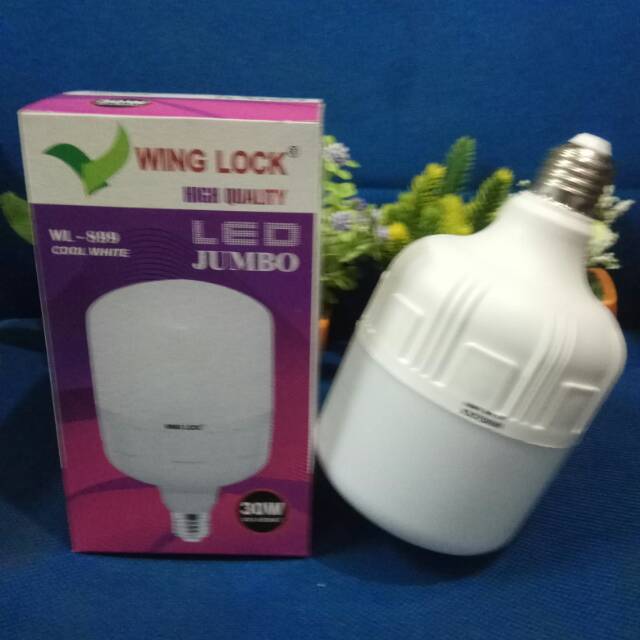 LAMPU LED 30 Watt