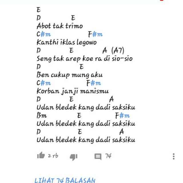 indri15573