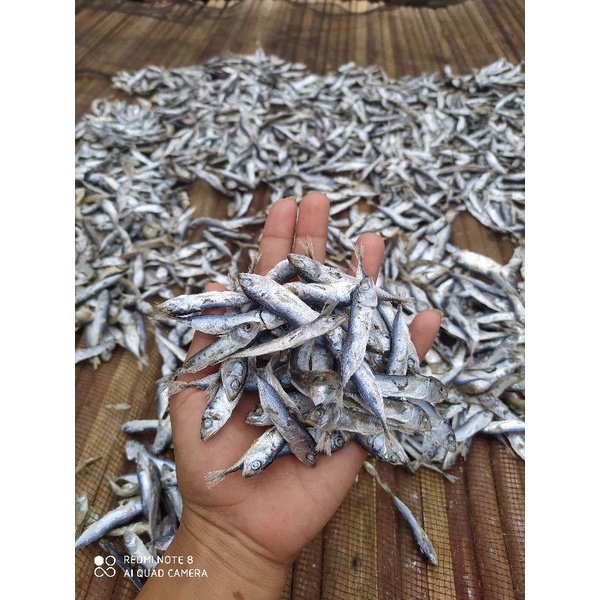 

Ikan rebus Tuan deman Tanpa bahan pengawet, Asli dari Bagan Pancang