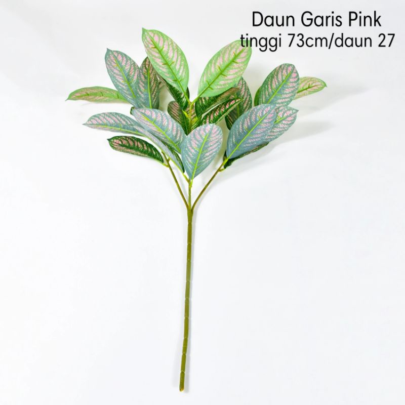 Daun Keladi Tinggi 72 cm