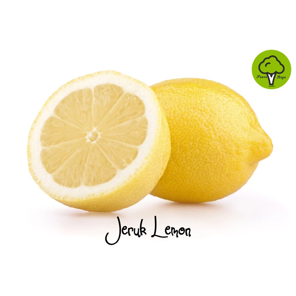 

BUAH LEMON CALIFORNIA LOKAL [500GR]