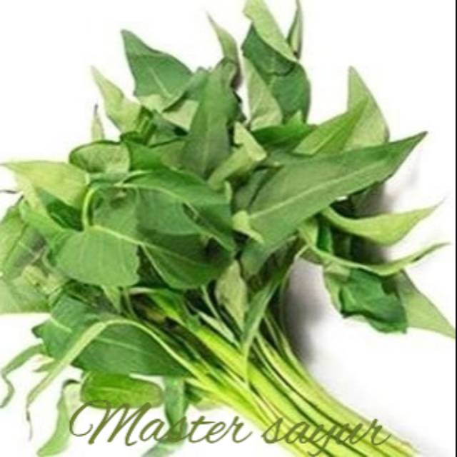 

Kangkung