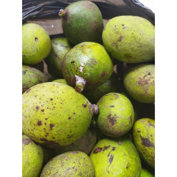 buah bacang buah limus muda segar 1kg