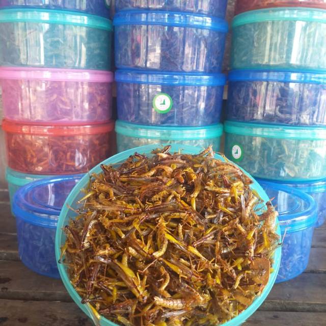 

Belalang Goreng 165g