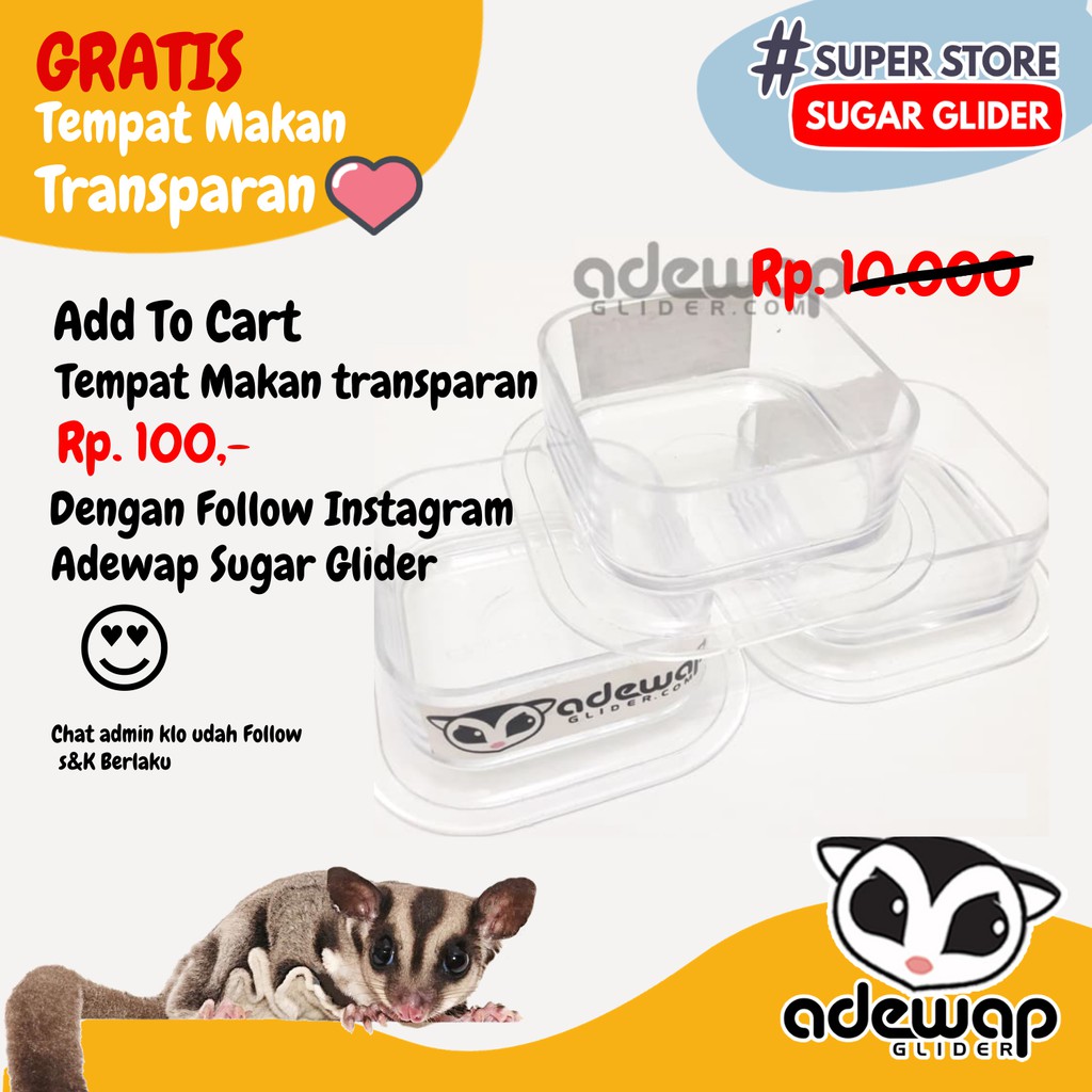 ADEWAP GLIDER Tempat Makan Bening Sugar Glider