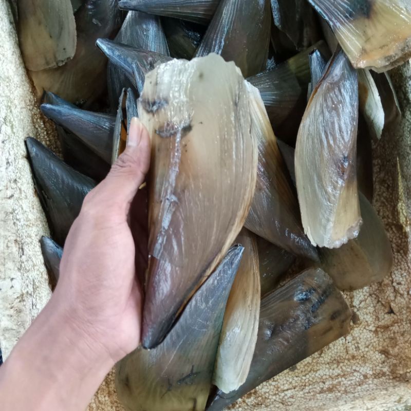 

Kerang Kampak Fresh 1kg