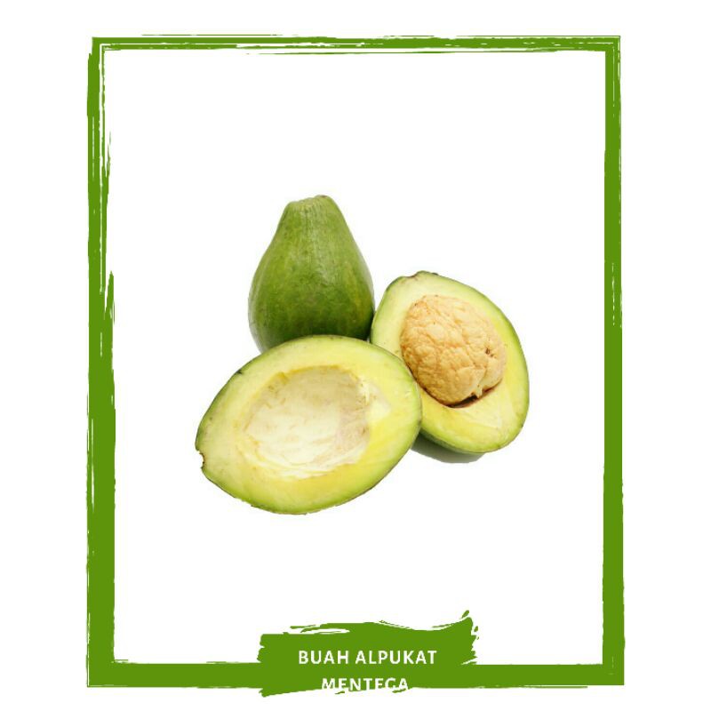

Alpukat Mentega / Avocado / Buah Buahan Segar By Mallahrizwa