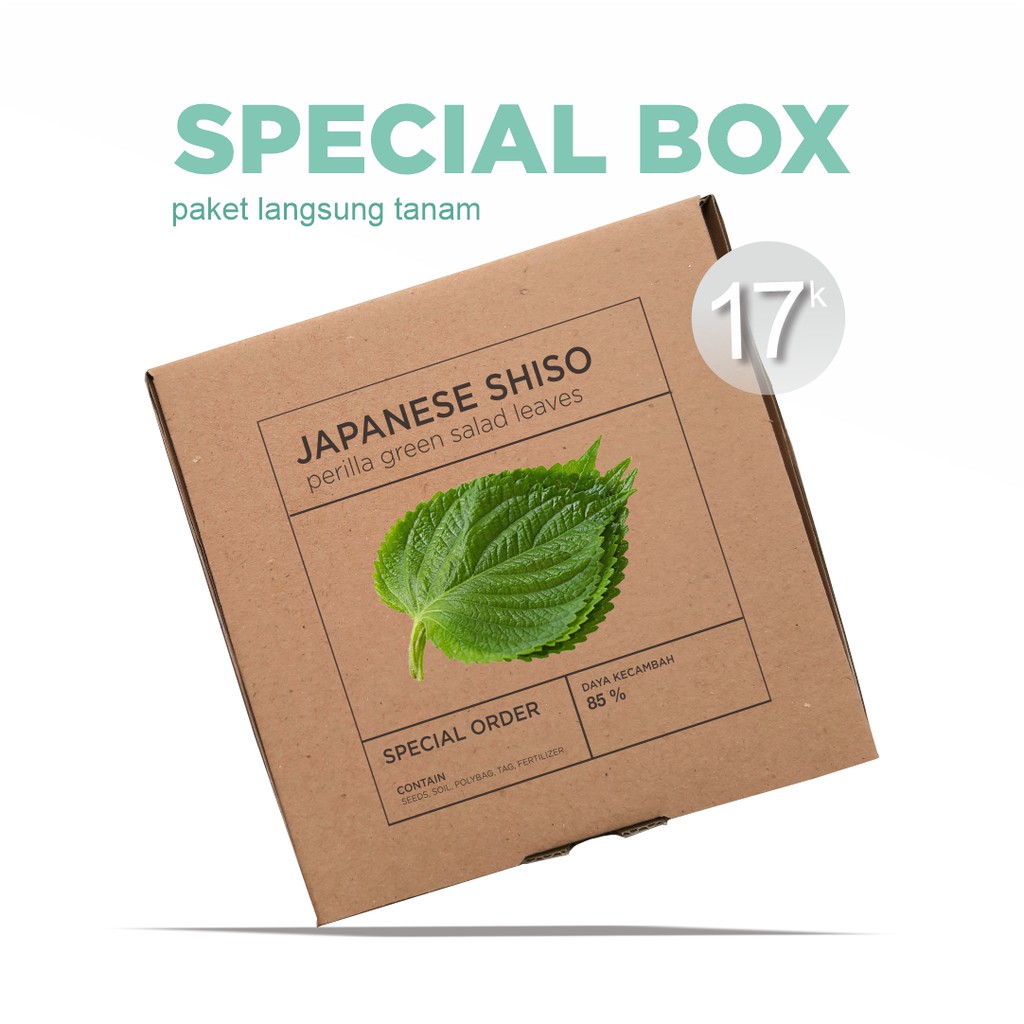 Paket Langsung Tanam - Gardening Kit - SPECIAL BOX - Benih Japanese Shiso Perilla Green Salad Leaves Seeds