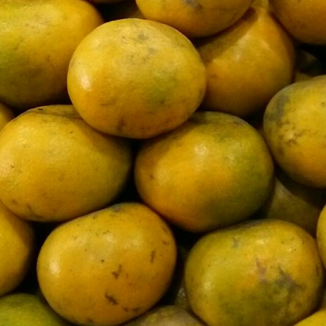 

Buah segar jeruk super jumbo