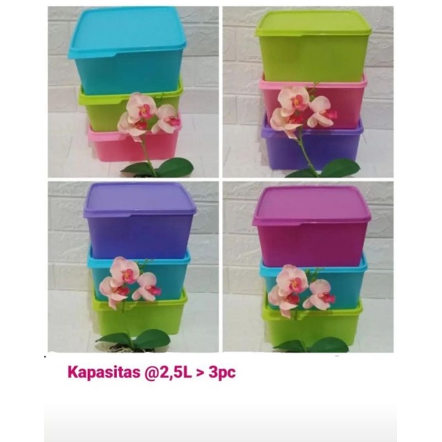 large cozy nest 2.5 liter tupperware bijian