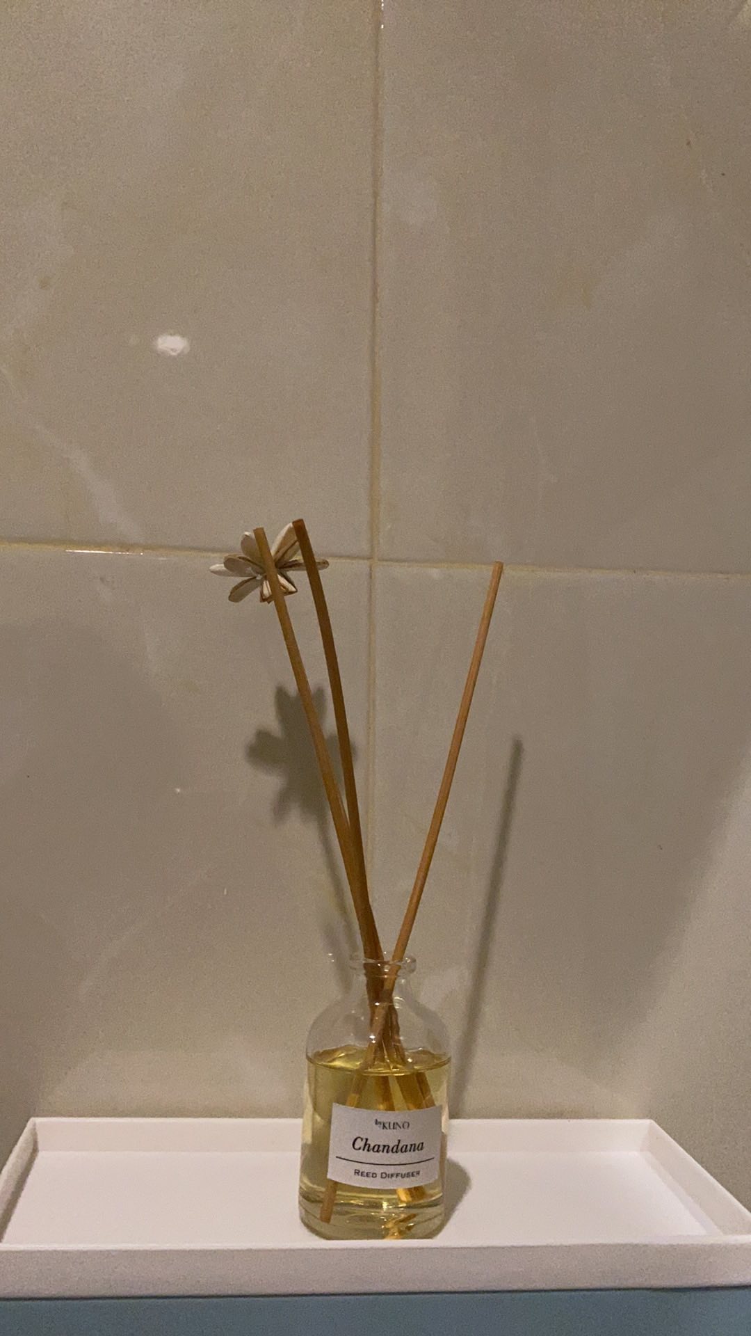 Aromatherapy Reed Diffuser / Pengharum Ruangan Aromaterapi