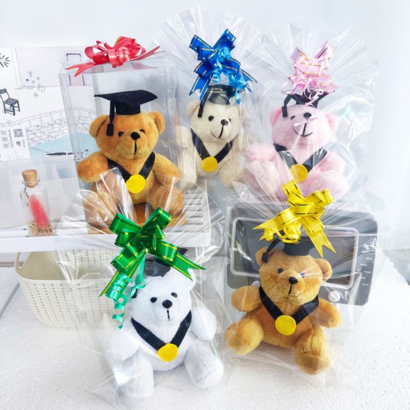 BONEKA WISUDA TEDDY BEAR LUCU / TEDDY WISUDA