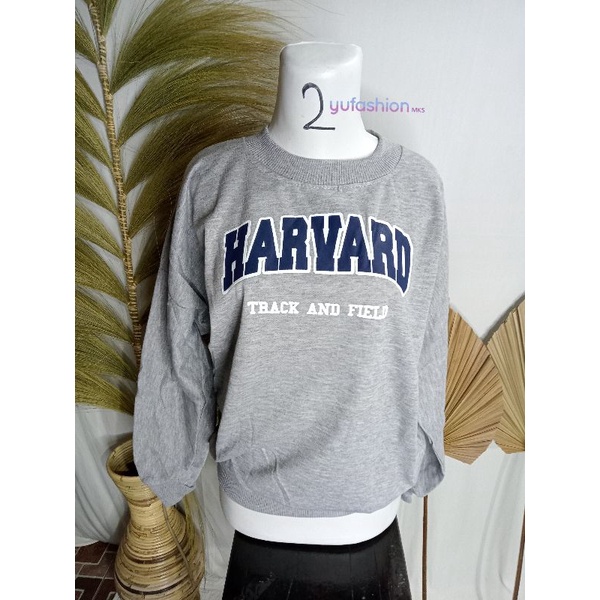 Harvard sweater/Sweater cewek