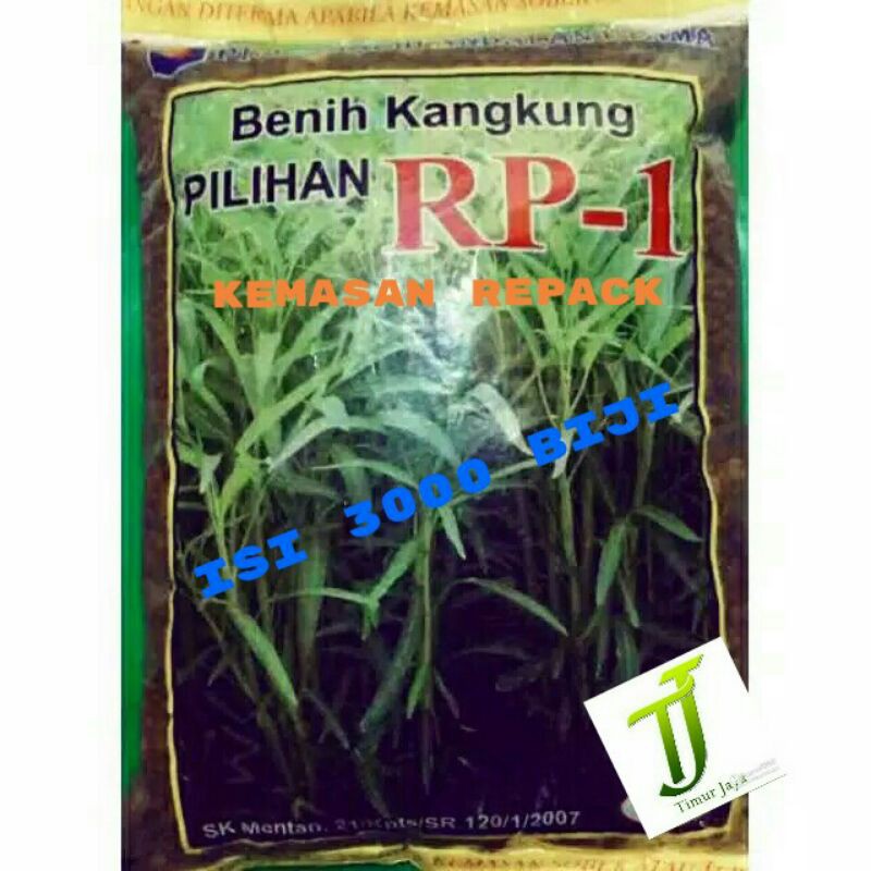 Benih bibit kangkung RP-1 isi +- 3000 biji (repacking)