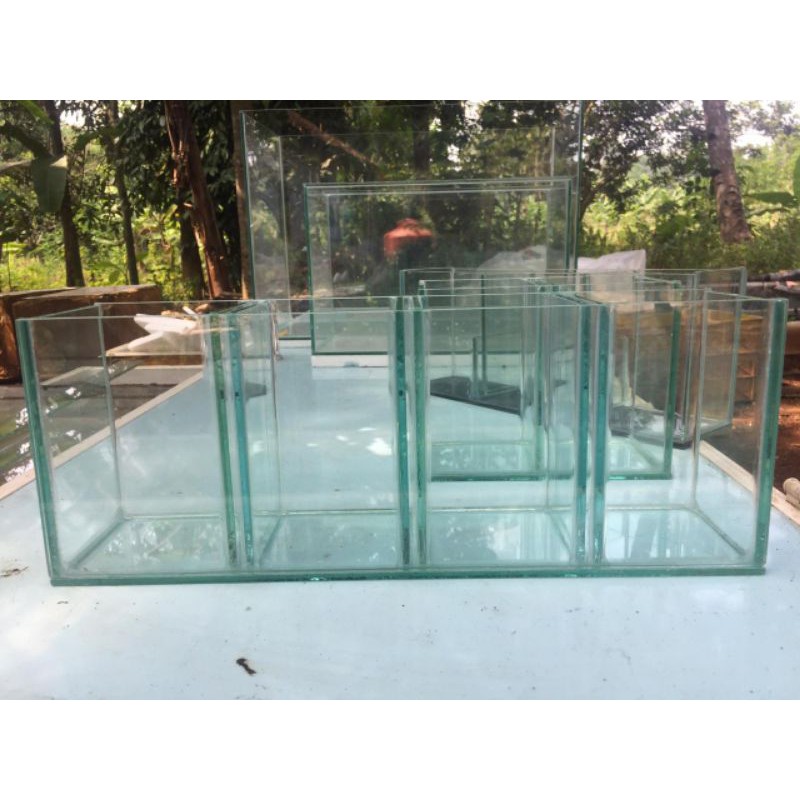 soliter sekat 4 soliter cupang soliter ikan cupang aquarium cupang