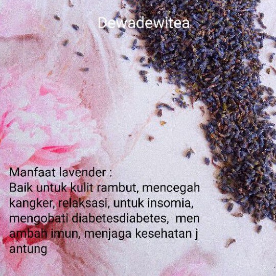 

Lavender tea/teh bunga lavender >=100gr