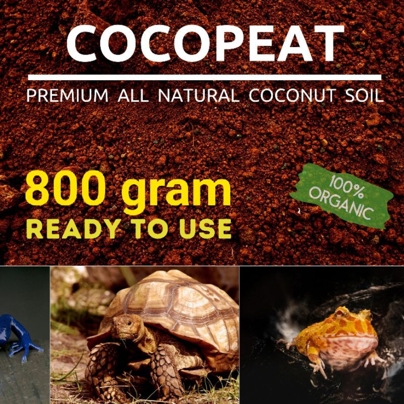 COCOPEAT HALUS TOP UNTUK GECKO ULAR KADAL KURA