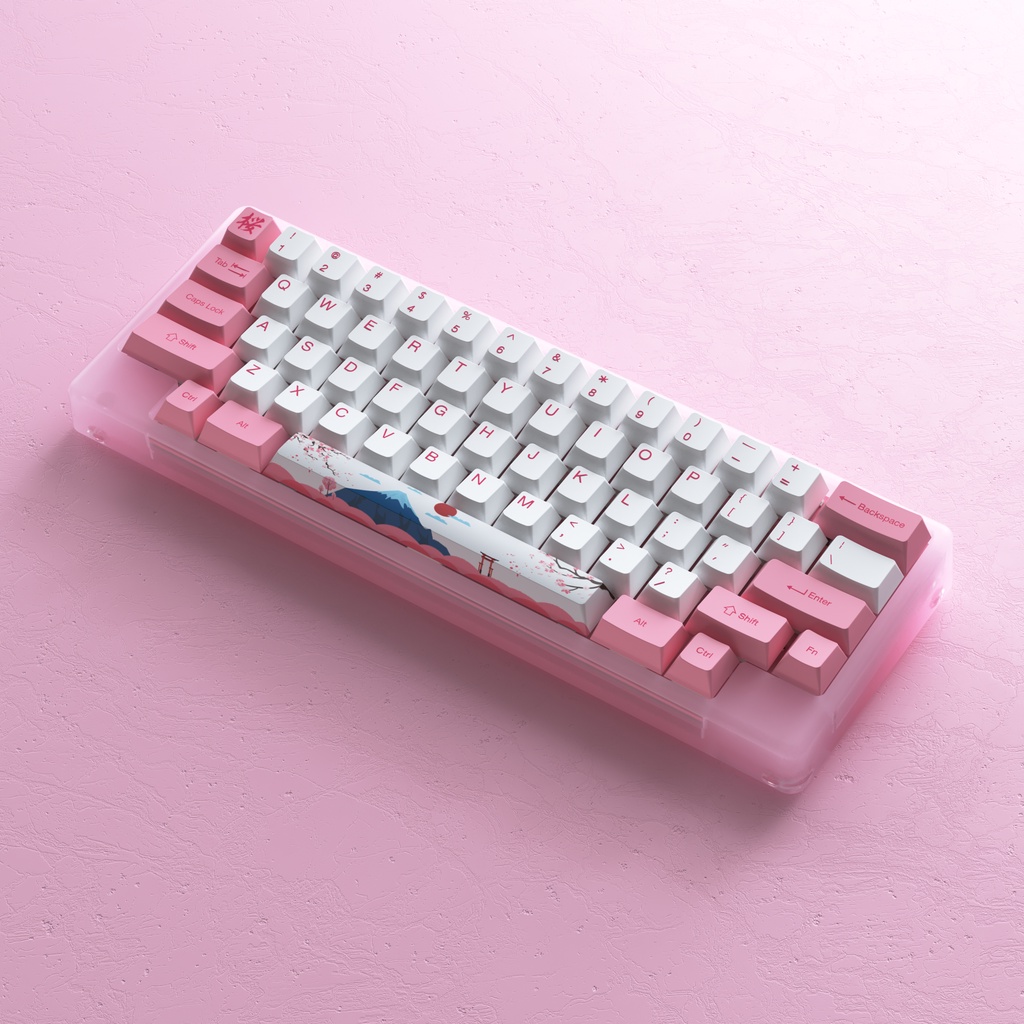 Akko Acrylic ACR59 60% RGB Hotswapp Mechanical Gaming Keyboard