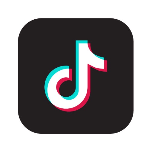 1000 TikTok Followers Mixed