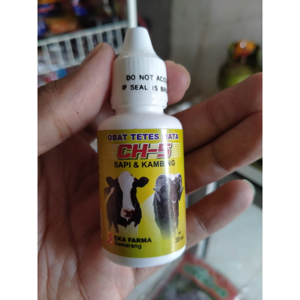 CH-5 Obat Tetes Mata Sapi Kambing (20 ml)