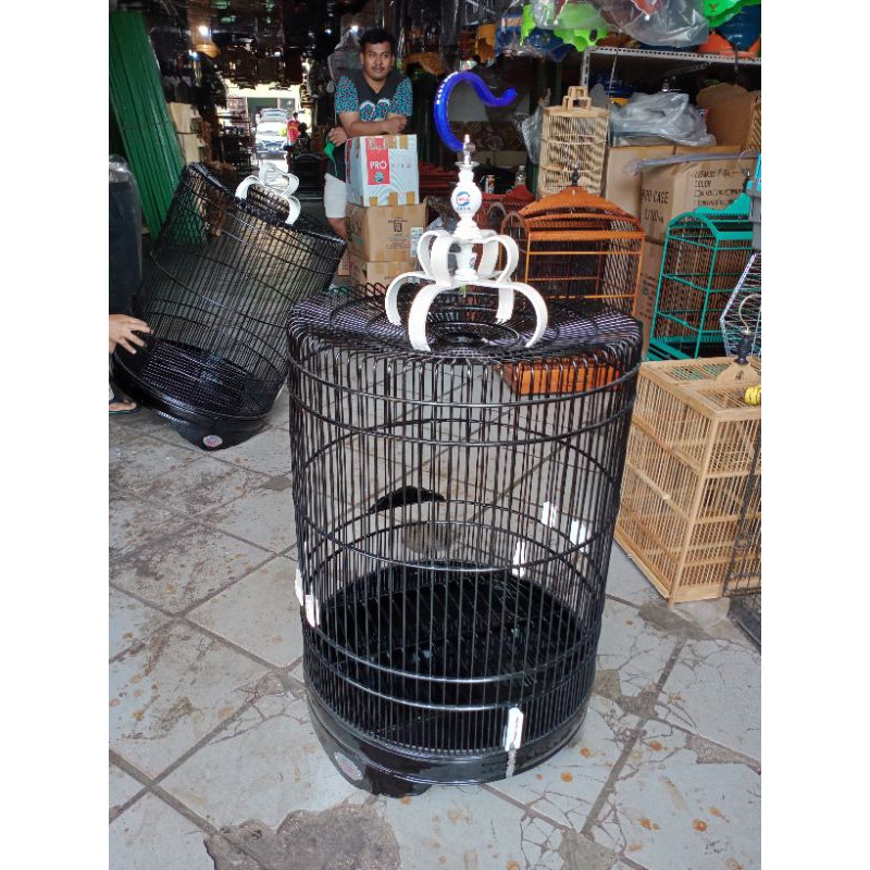 murai Ebod klasik no.2.uk dm 57.