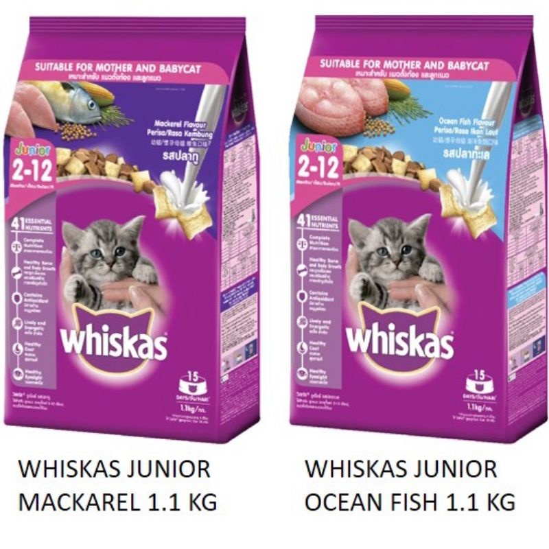 Makanan Kucing - Whiskas Junior 1.1 Kg