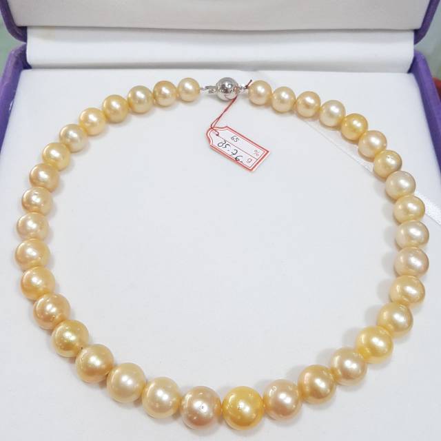 Kalung Mutiara Air Laut Bentuk bulat Warna gold muda Kalung Mutiara Air Laut Bentuk bulat Warna gold muda