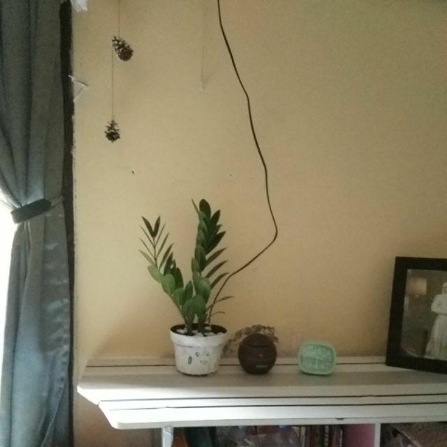 Grosir Murah_wallpaper Sticker Dinding Ruang Tamu, Kamar, Kantor Garis Abu Abu Minimalis