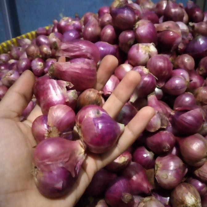 

Big Sale Bawang merah brebes besar 1kg Diskon