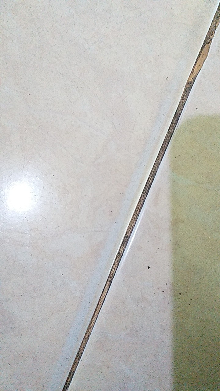 Sk9088 Much Hanging Cages Wallsticker Wall Sticker 60x90