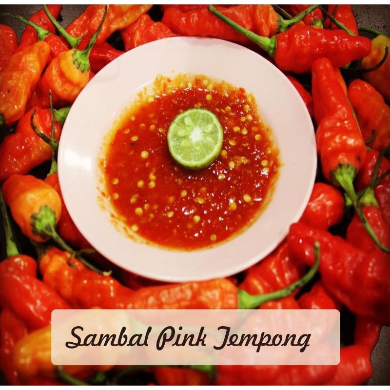 

SAMBAL TEMPONG PINK (JAMINAN FRESH)