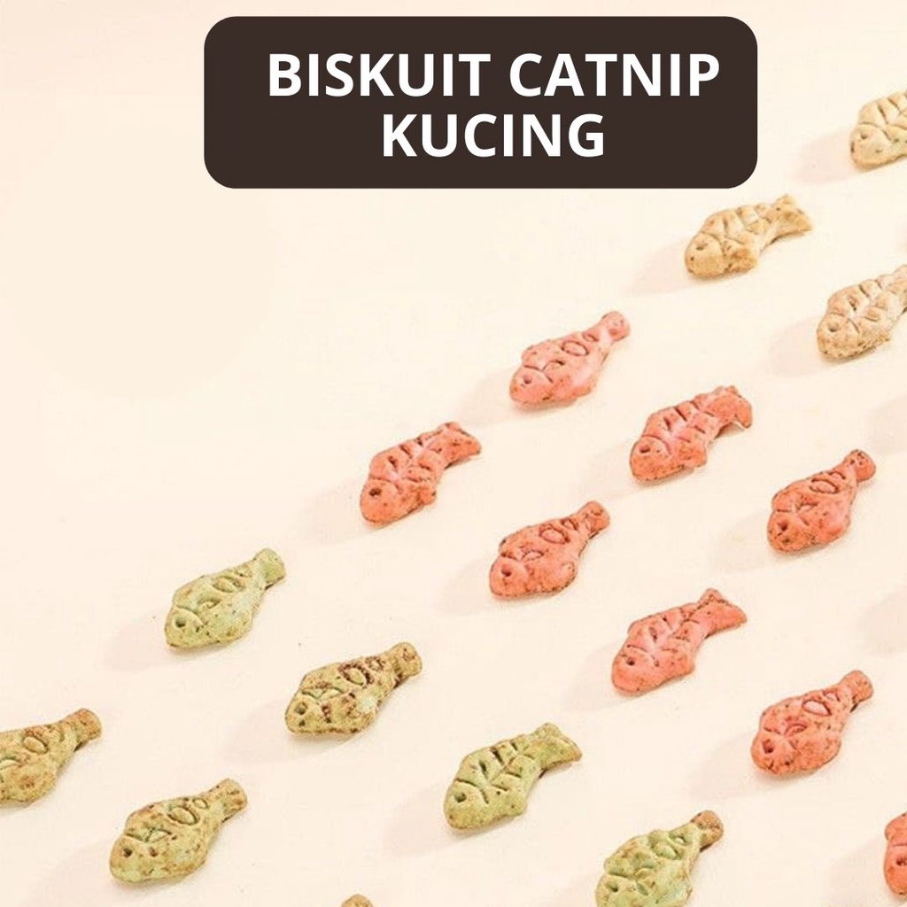 Snack Biskuit Catnip Dengan Aneka Rasa Khusus Buat Kucing FEZONE