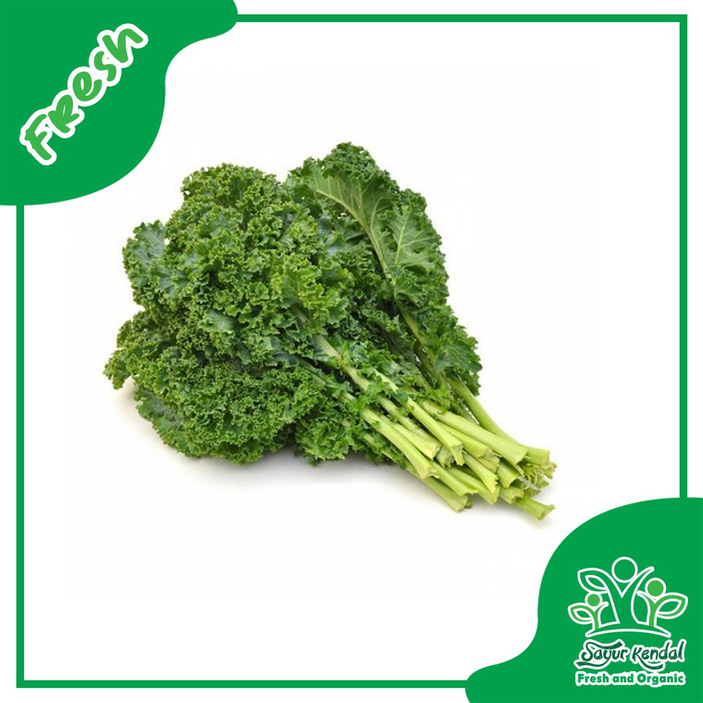 

Kale Curly - Sayur Kendal