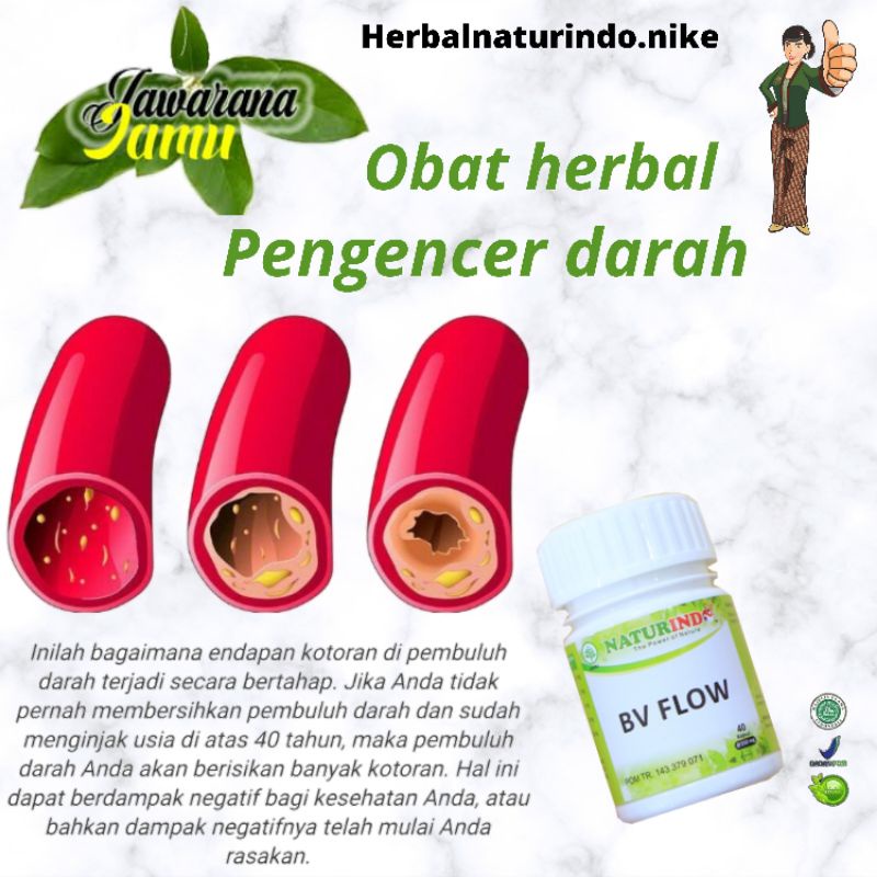 Obat herbal ampuh pengencer darah obat herbal ampuh melancarkan peredaran darah obat herbal ampuh penyumbatan obat herbal ampuh kesemutan dan kebas obat herbal alami penyumbatan asli tumbuhan BV-FLOW NATURINDO-2