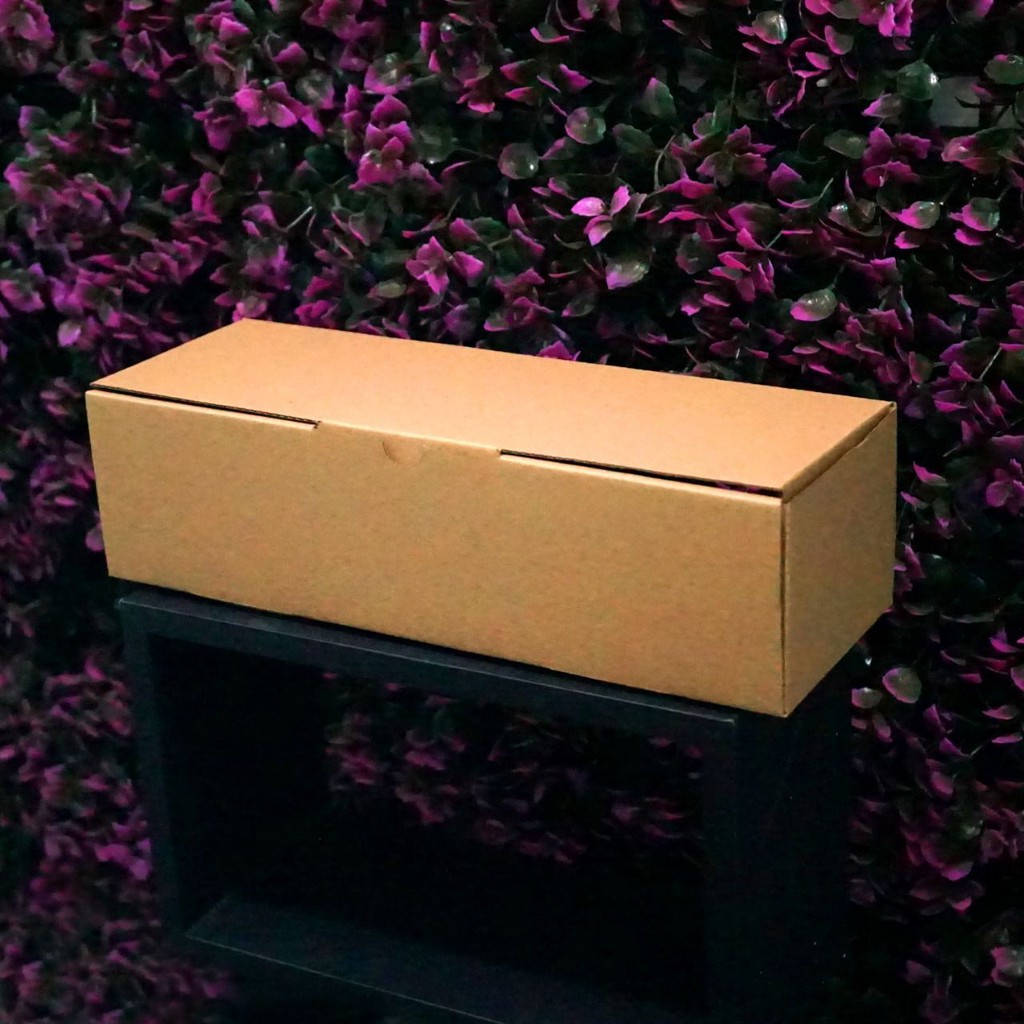 

(Bekasi) Kotak Packaging Polos Tinggi 10 x 30 x 8 cm - Pizza Box - Persegi Panjang
