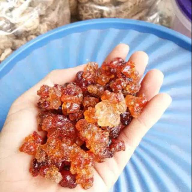 

#peachgum #taojiao