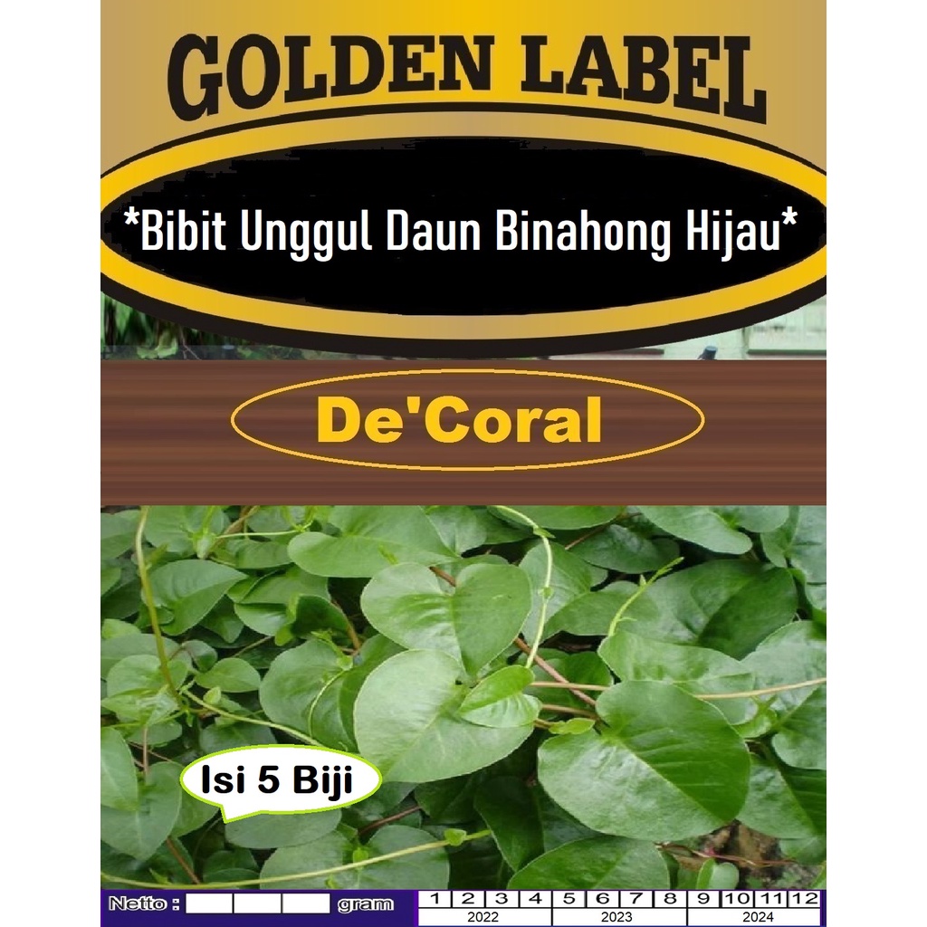 Bibit Daun Binahong Hijau | Biji Benih Binahong Hijau | Biji Bibit Daun Binahong